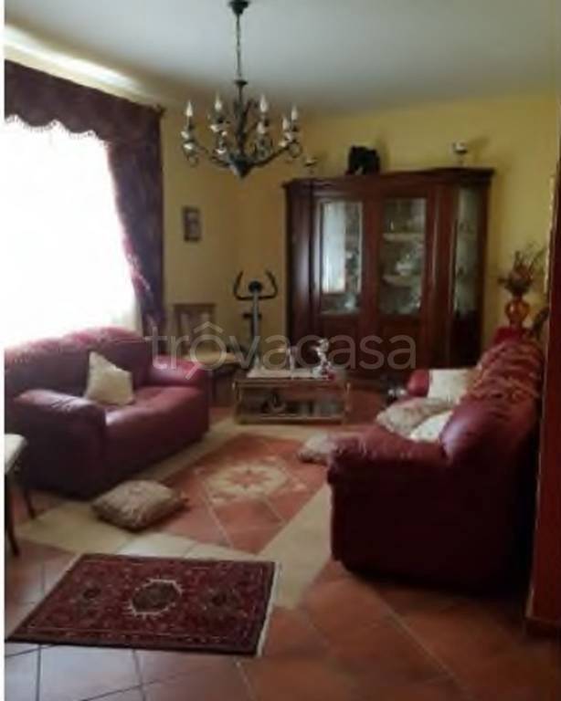 immagine annuncio 6 di 11