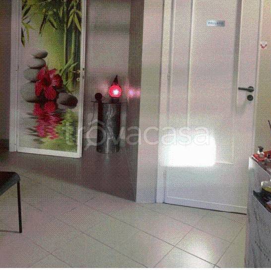 immagine annuncio 12 di 14