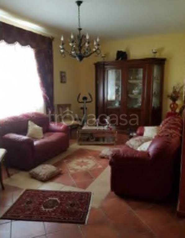 immagine annuncio 7 di 12