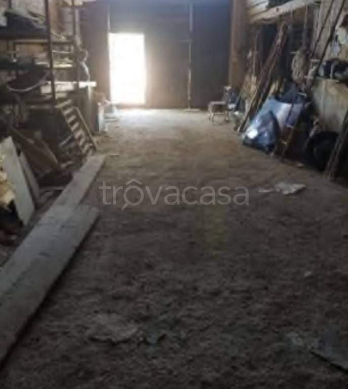 immagine annuncio 9 di 12