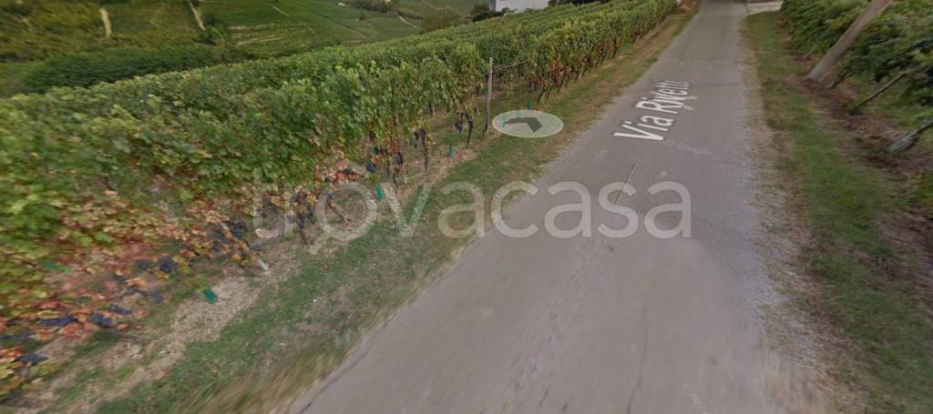 immagine annuncio 4 di 14