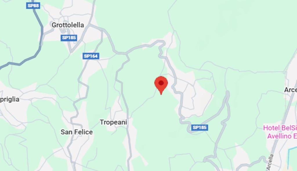 immagine annuncio 6 di 14