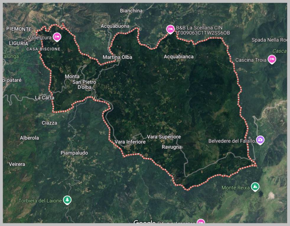 immagine annuncio 13 di 15