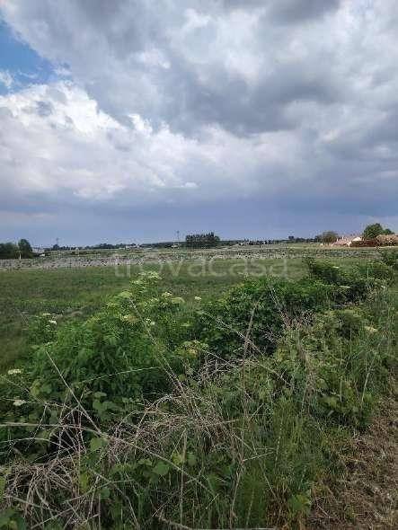 immagine annuncio 2 di 8