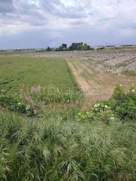 immagine annuncio 4 di 8