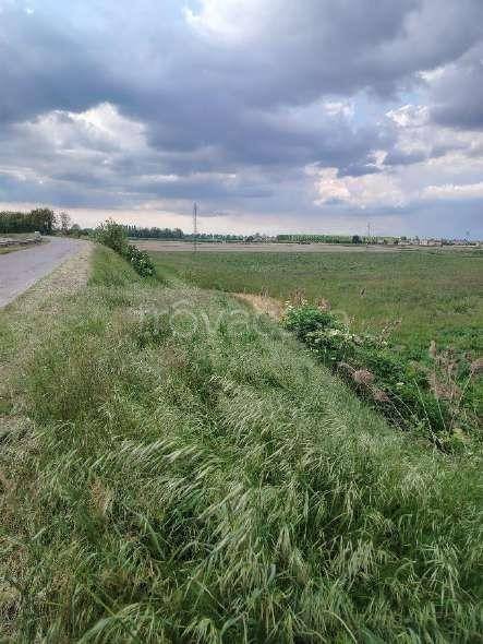 immagine annuncio 5 di 8