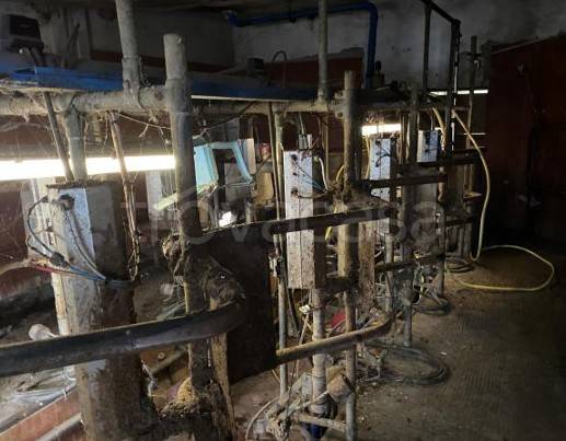 immagine annuncio 2 di 13