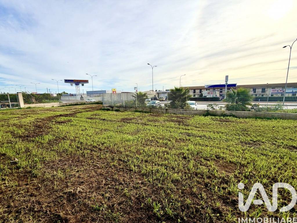 immagine annuncio 5 di 14