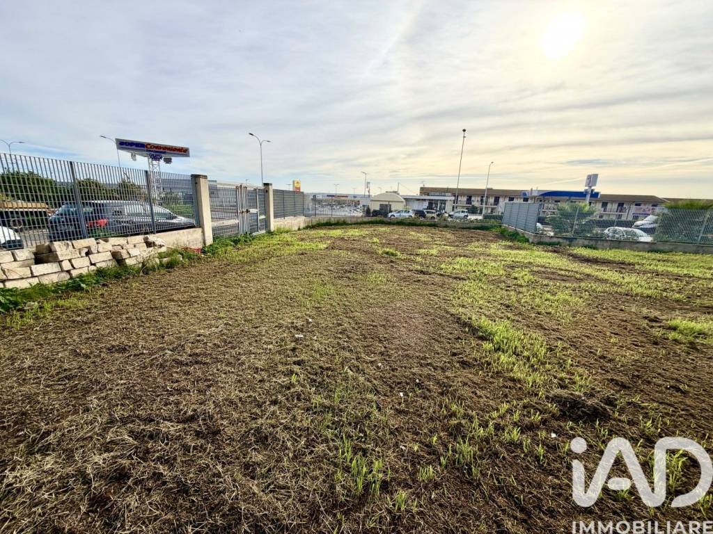 immagine annuncio 9 di 14