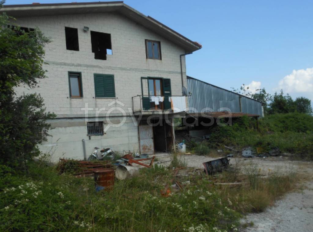 immagine annuncio 3 di 9