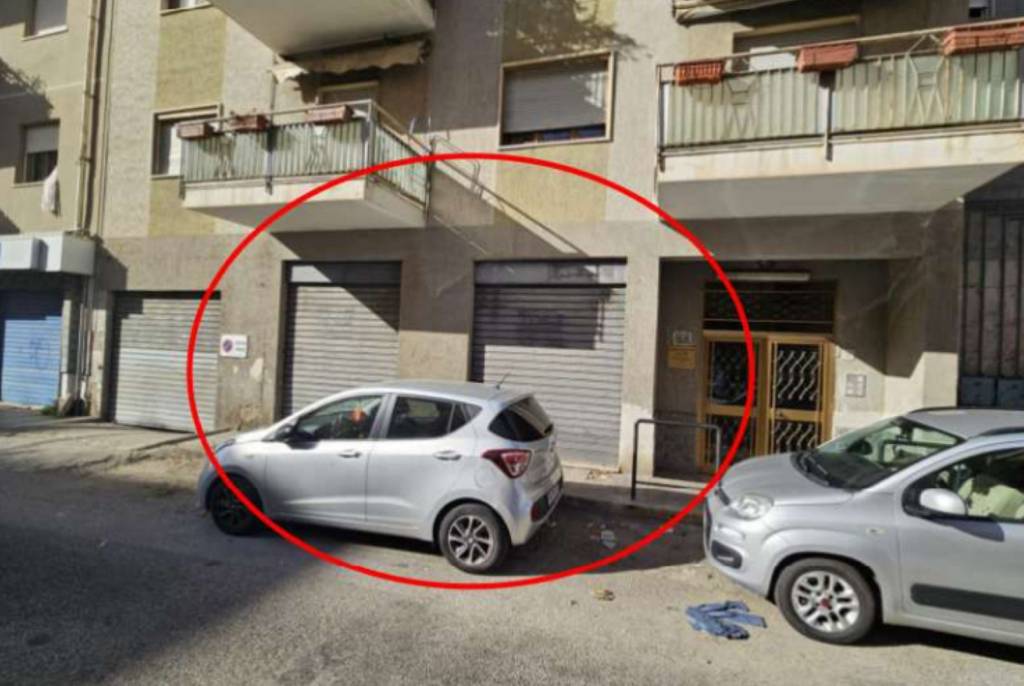 immagine annuncio 1 di 12