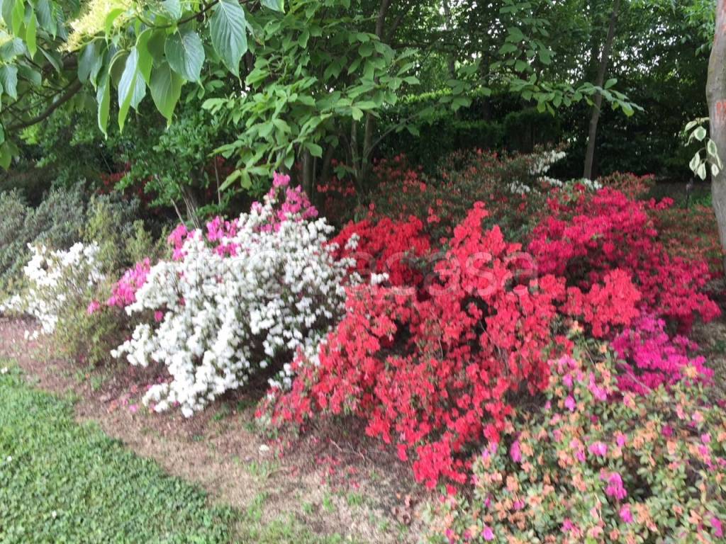 immagine annuncio 8 di 9