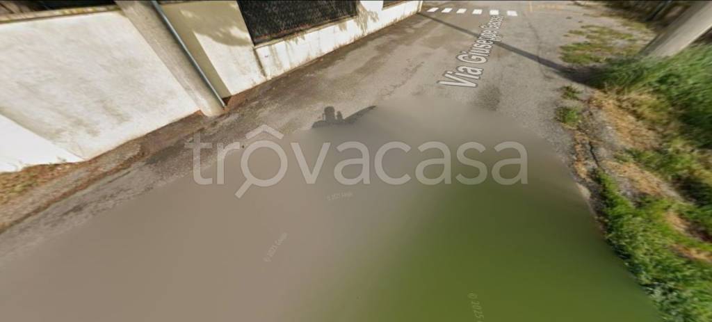 immagine annuncio 2 di 12