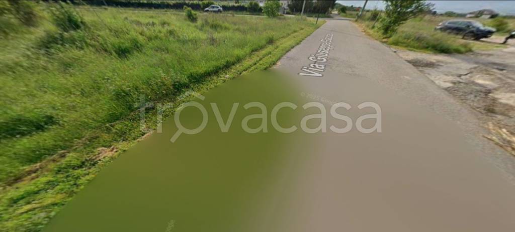 immagine annuncio 9 di 12