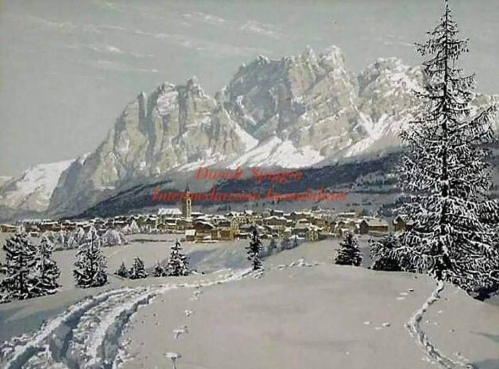 immagine annuncio 2 di 4