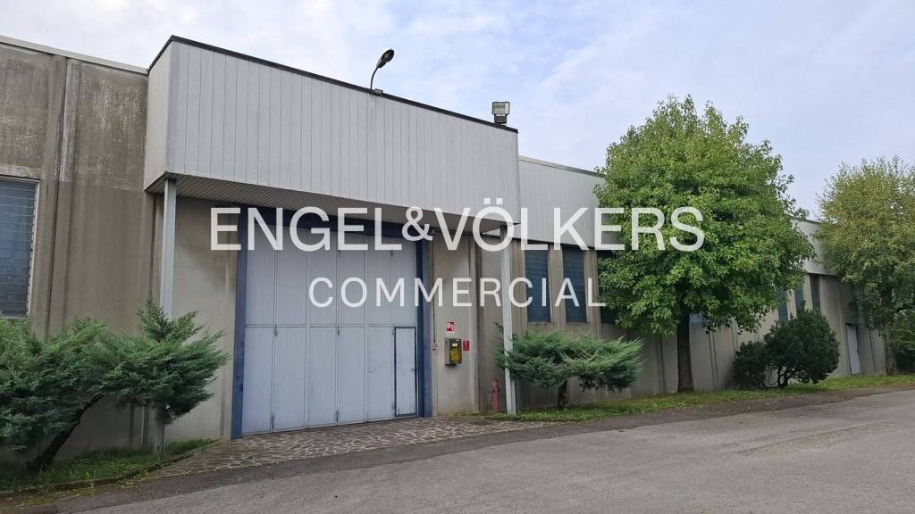 immagine annuncio 2 di 11