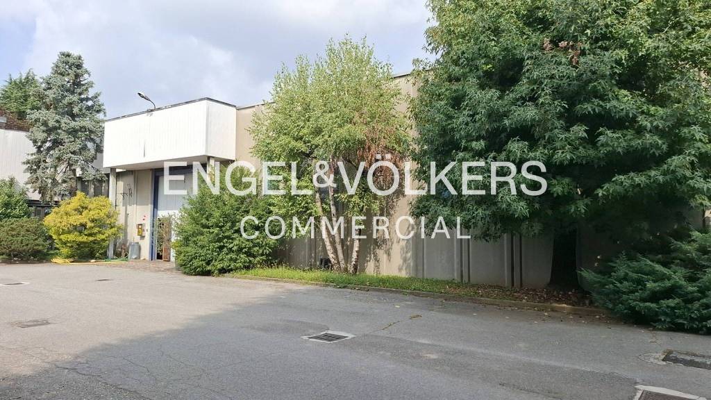 immagine annuncio 3 di 11