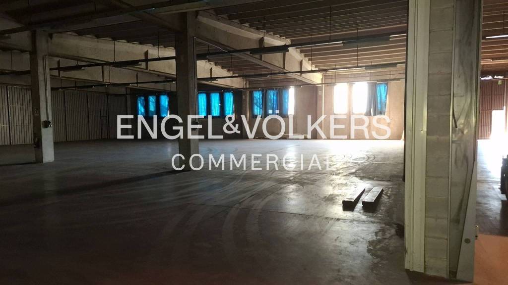 immagine annuncio 4 di 11