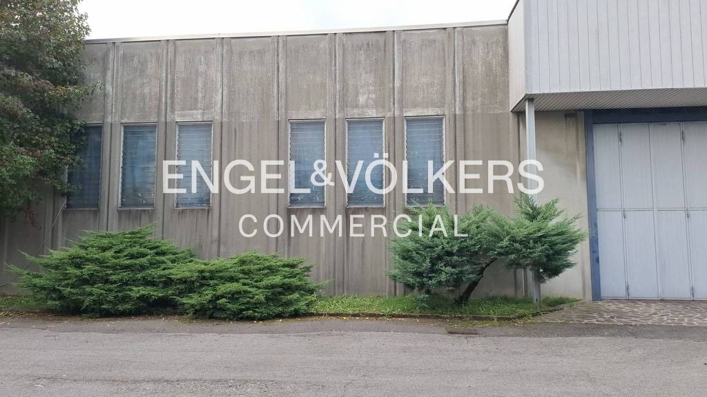 immagine annuncio 5 di 11