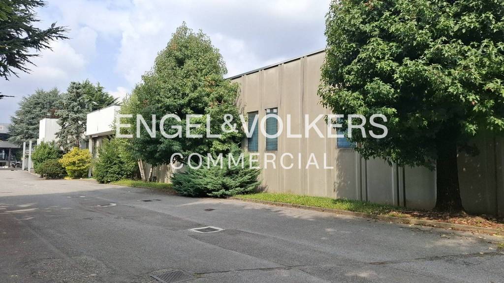 immagine annuncio 7 di 11