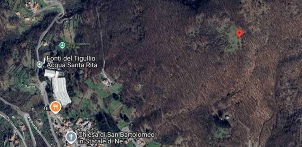 immagine annuncio 10 di 11