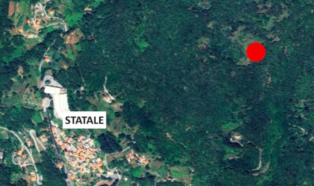 immagine annuncio 7 di 11