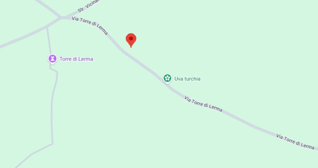 immagine annuncio 5 di 12