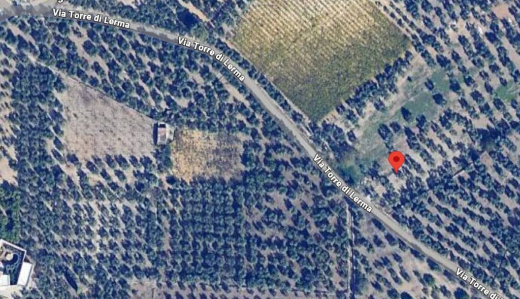 immagine annuncio 7 di 12