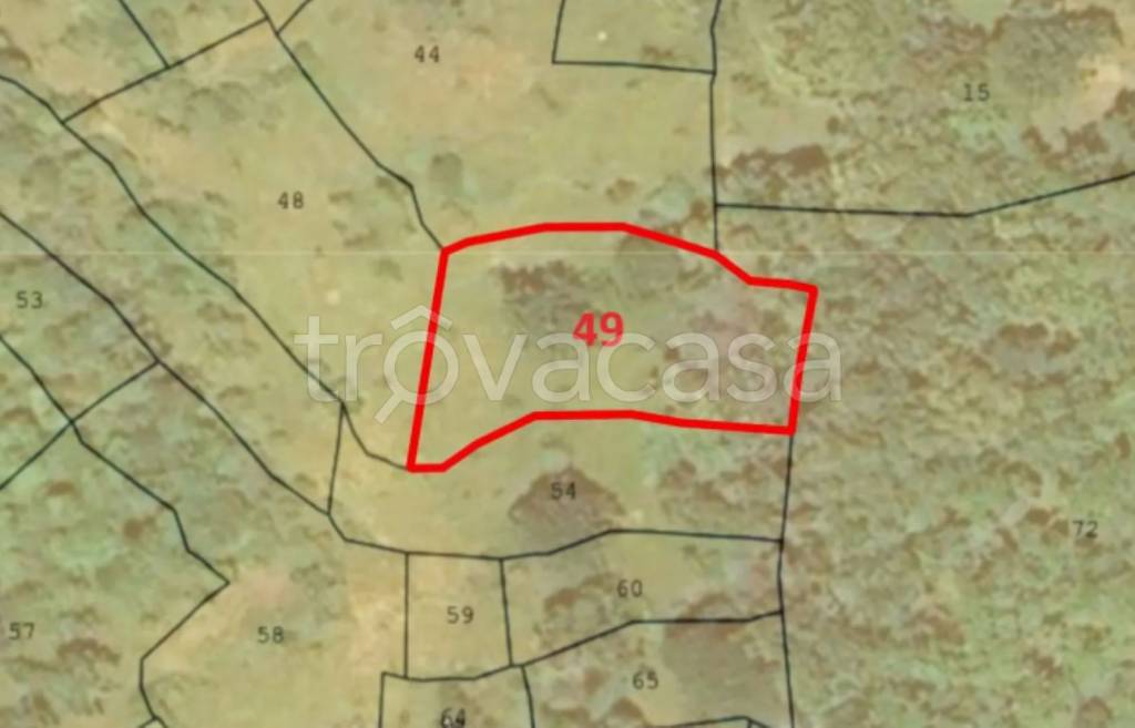 immagine annuncio 8 di 11