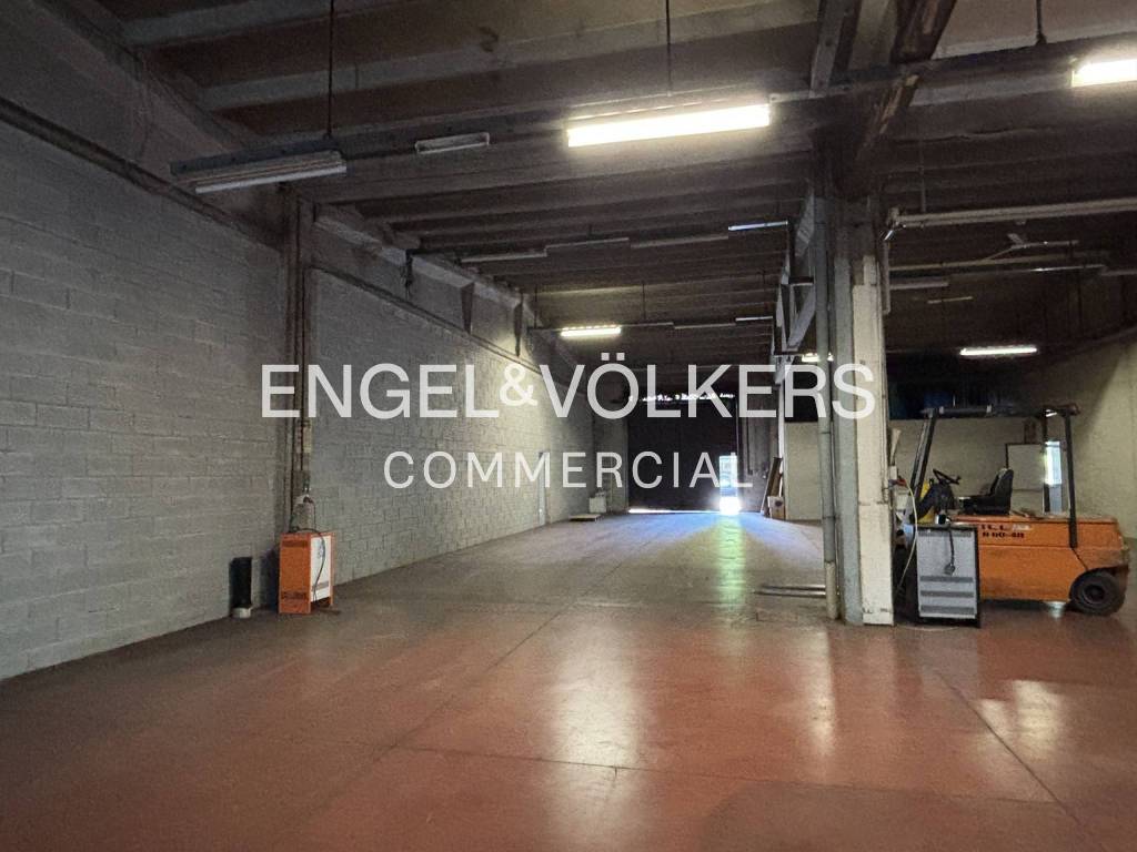 immagine annuncio 3 di 13