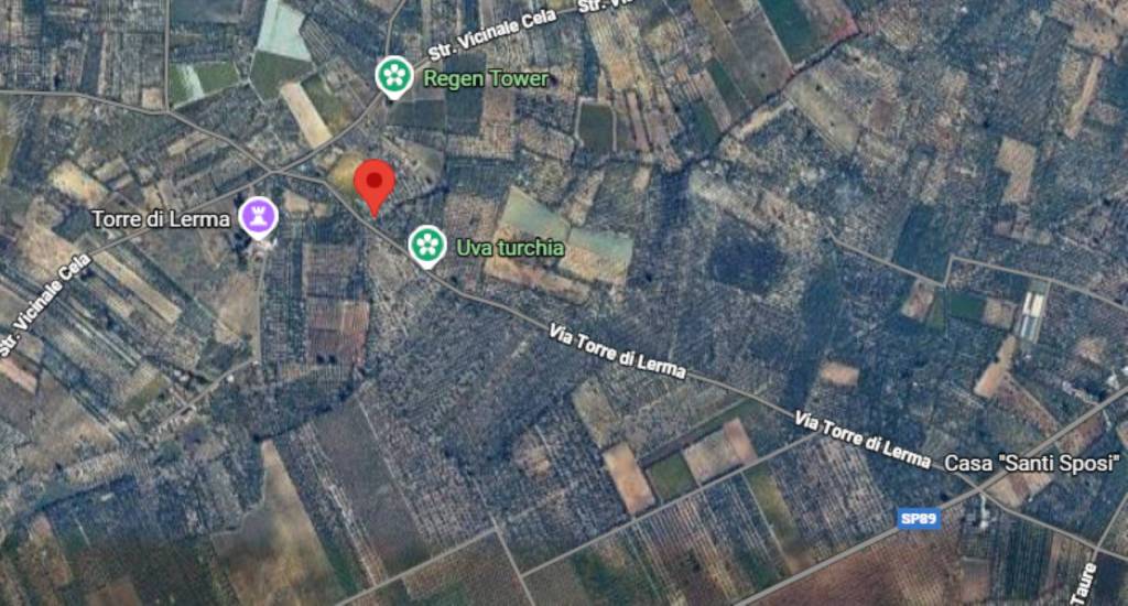 immagine annuncio 10 di 12