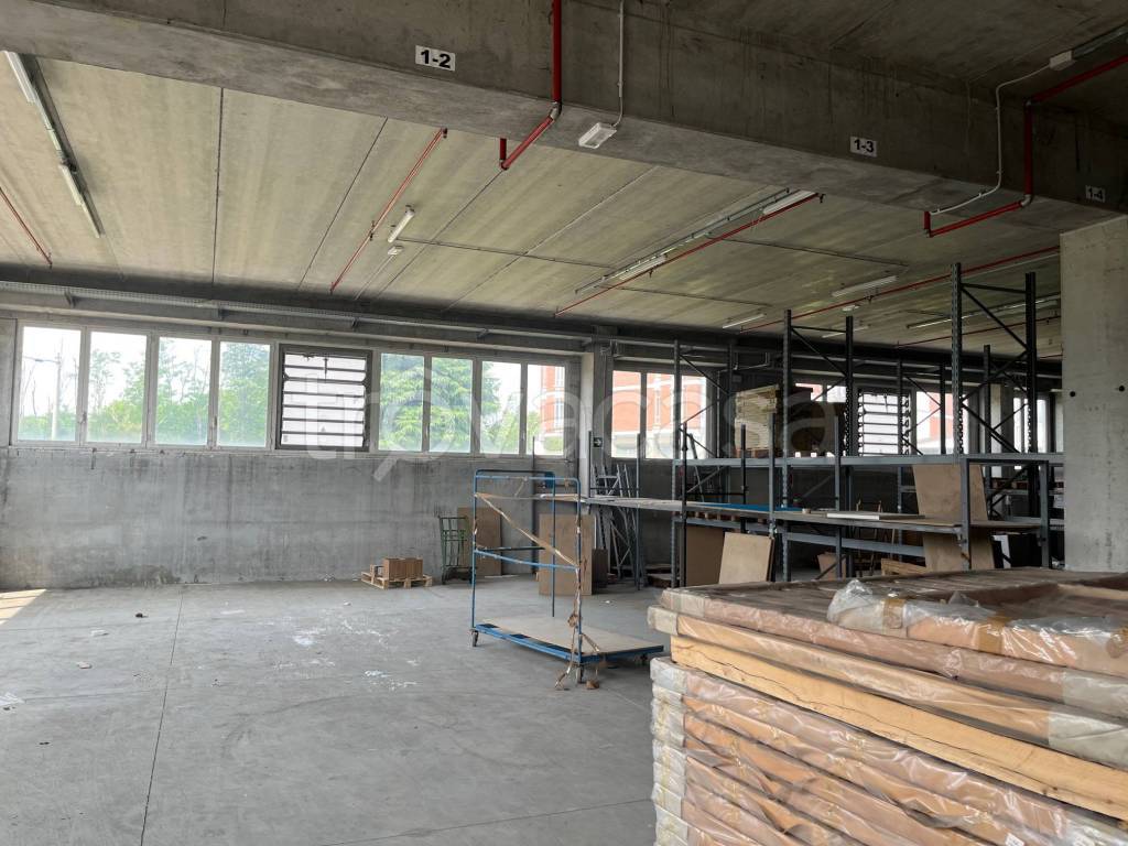 immagine annuncio 9 di 15