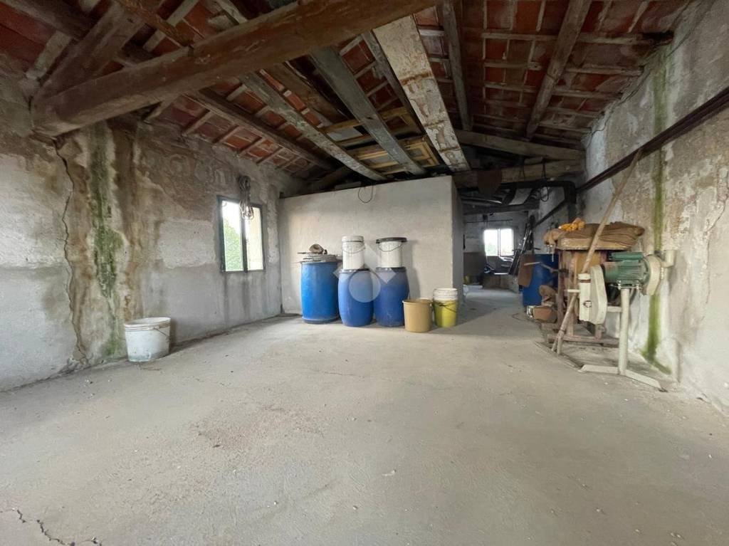 immagine annuncio 7 di 8