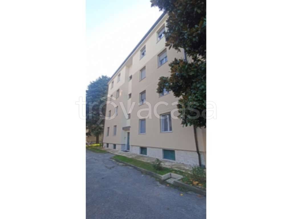 immagine annuncio 2 di 12