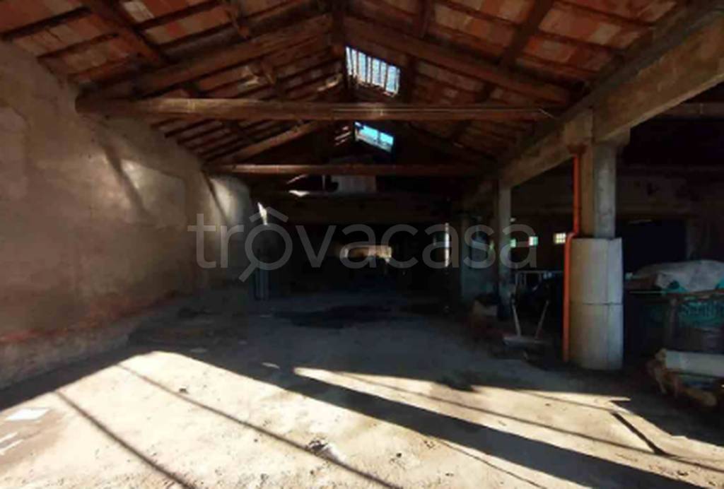 immagine annuncio 3 di 9