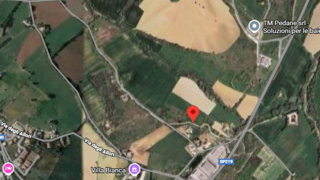 immagine annuncio 8 di 11