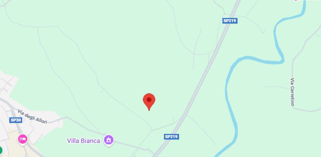 immagine annuncio 9 di 11