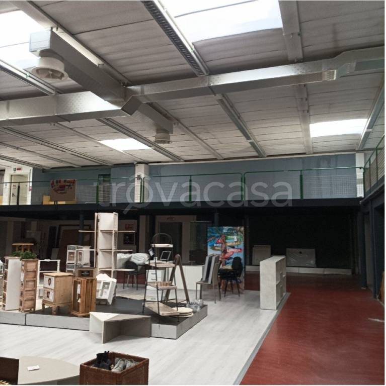 immagine annuncio 2 di 11