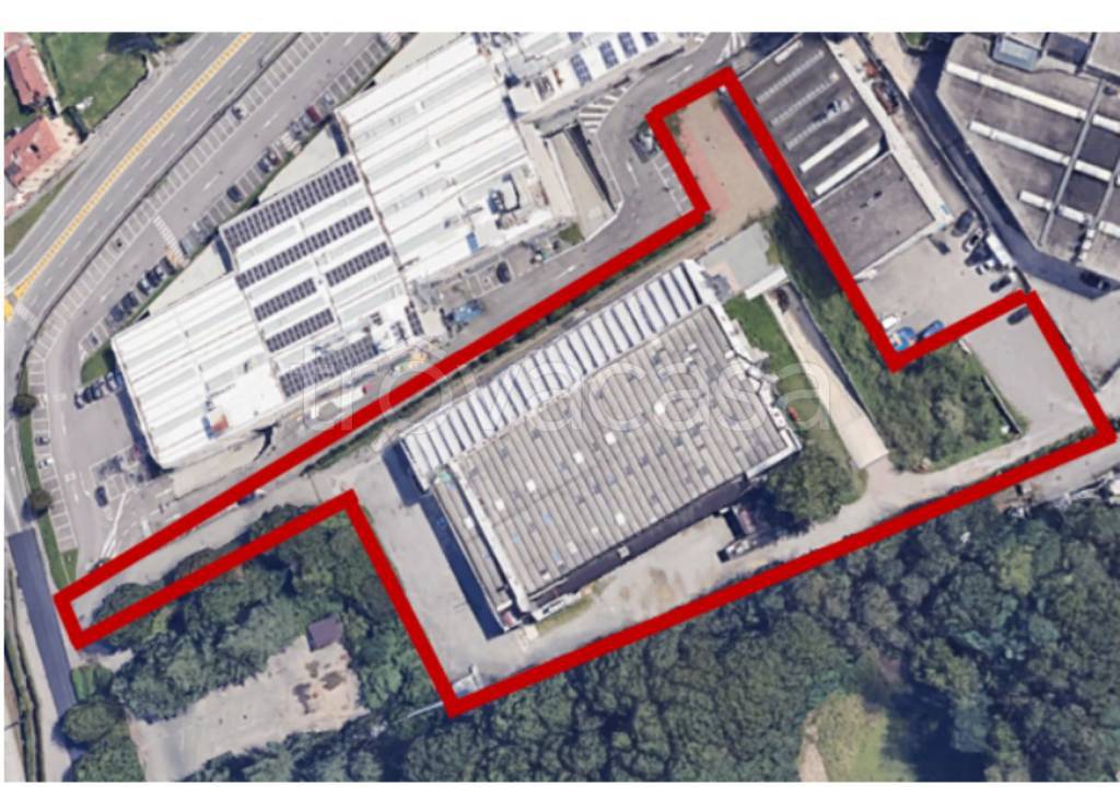 immagine annuncio 3 di 11