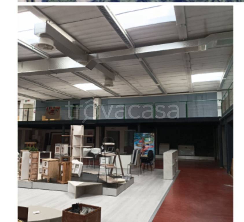 immagine annuncio 4 di 11