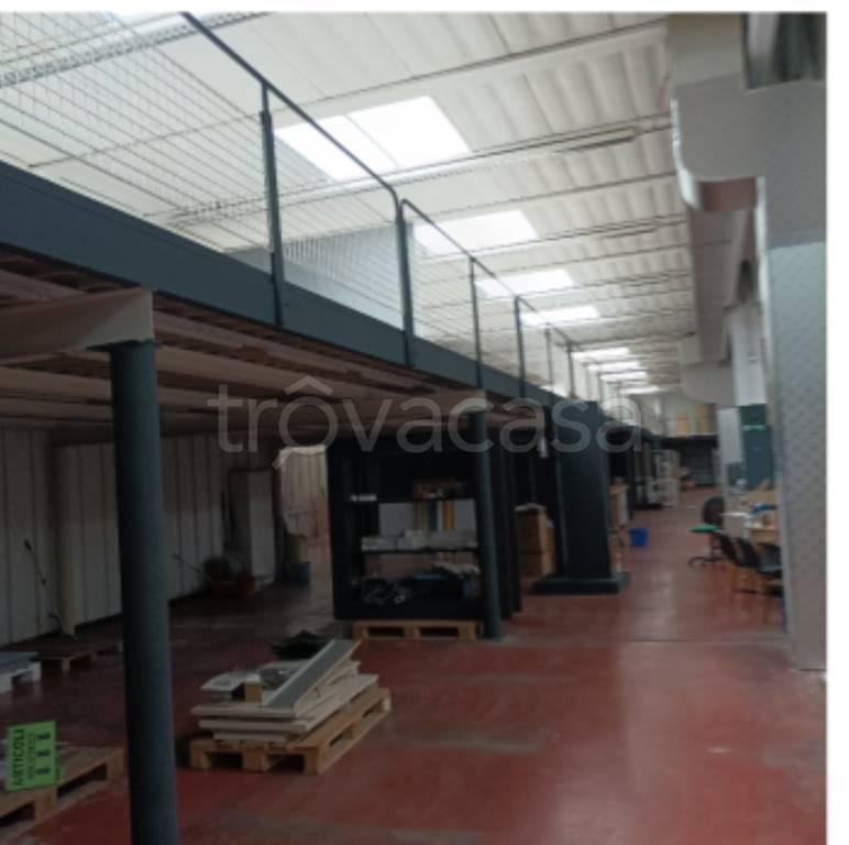 immagine annuncio 5 di 11