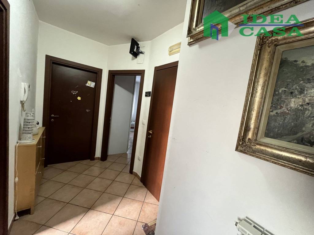 immagine annuncio 5 di 14