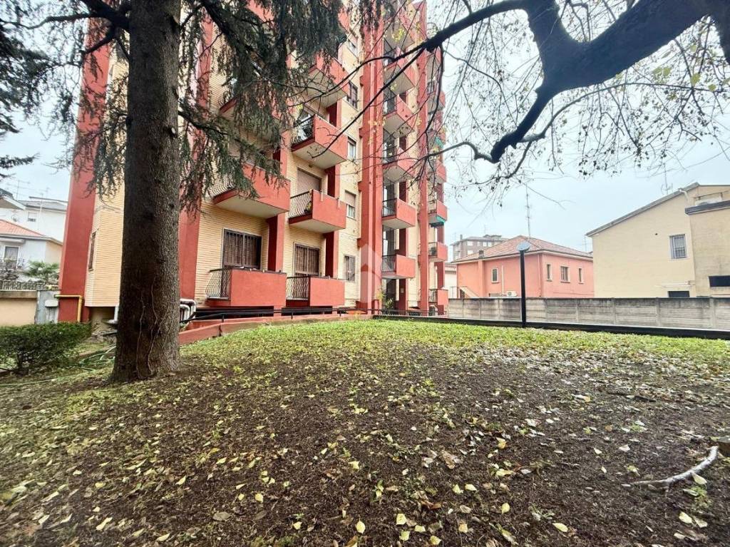 immagine annuncio 12 di 15