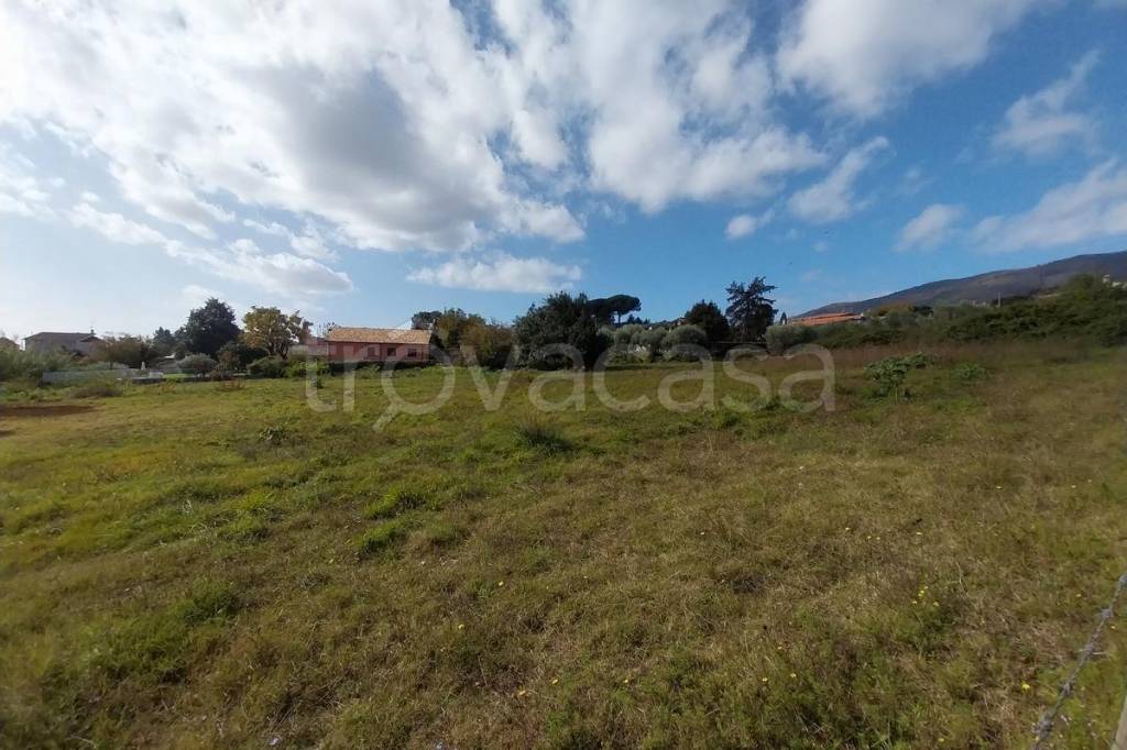 immagine annuncio 1 di 4