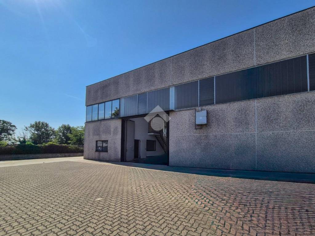 immagine annuncio 6 di 15