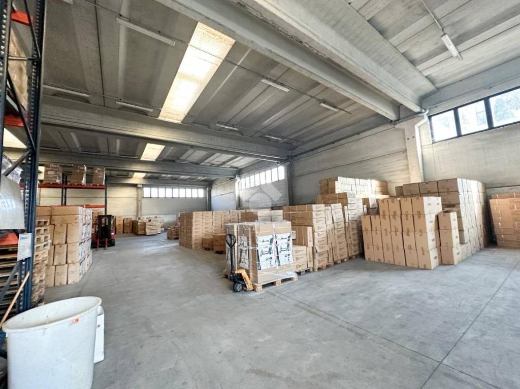 immagine annuncio 6 di 15