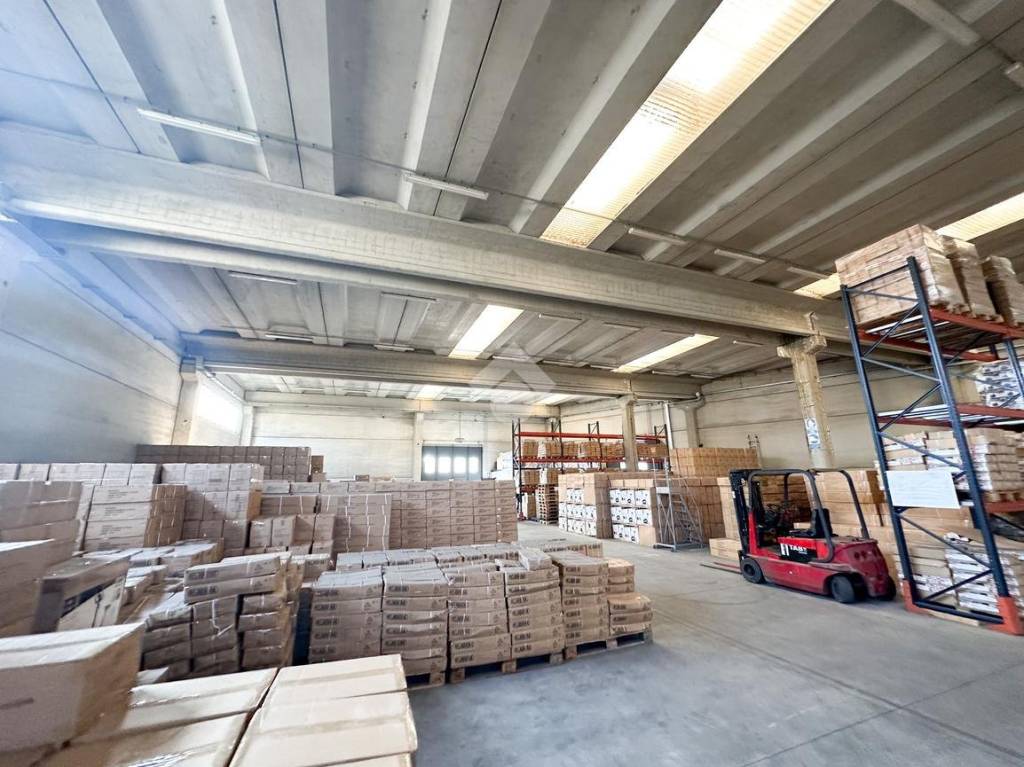 immagine annuncio 12 di 15