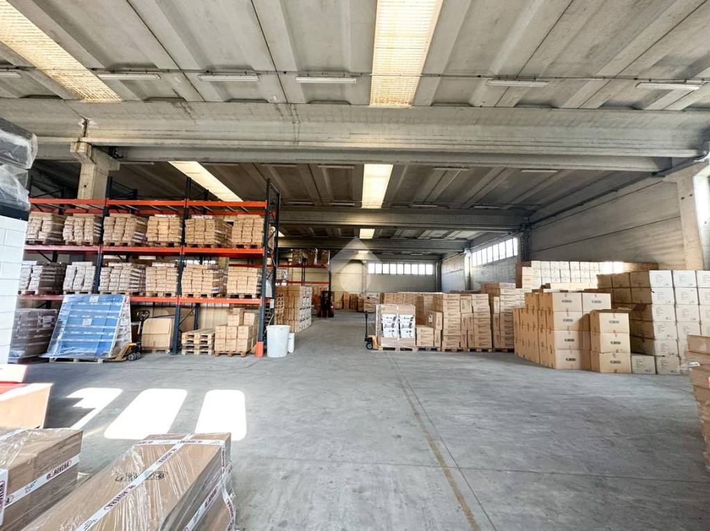 immagine annuncio 14 di 15