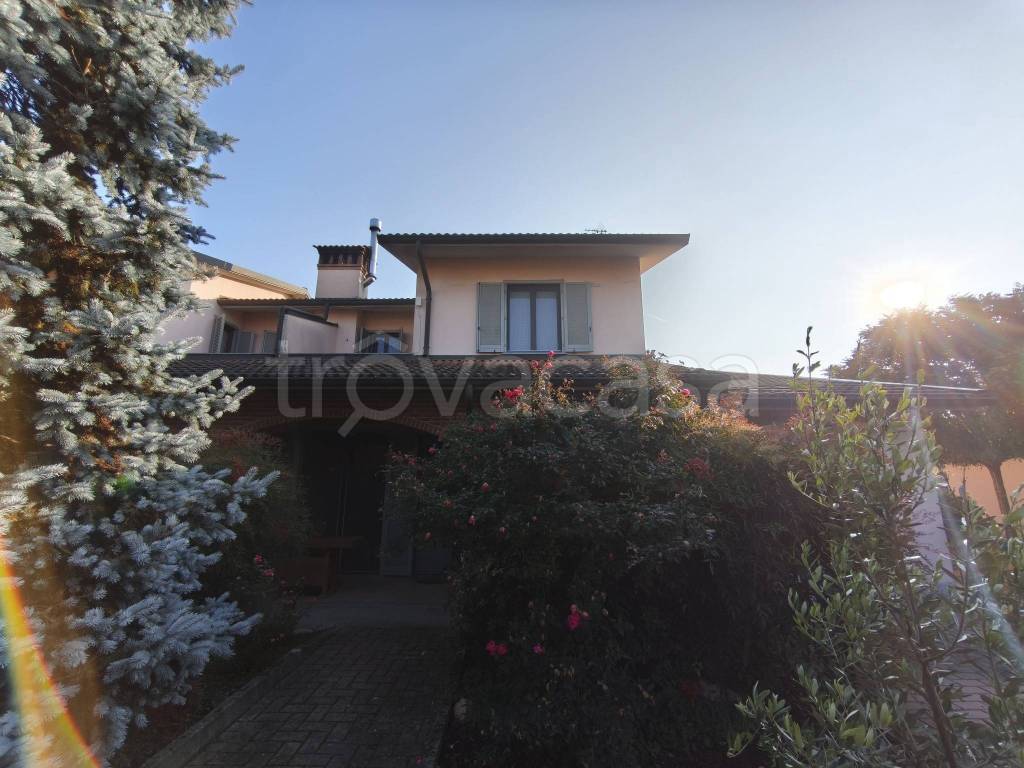 immagine annuncio 2 di 15