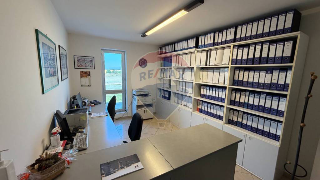 immagine annuncio 5 di 9